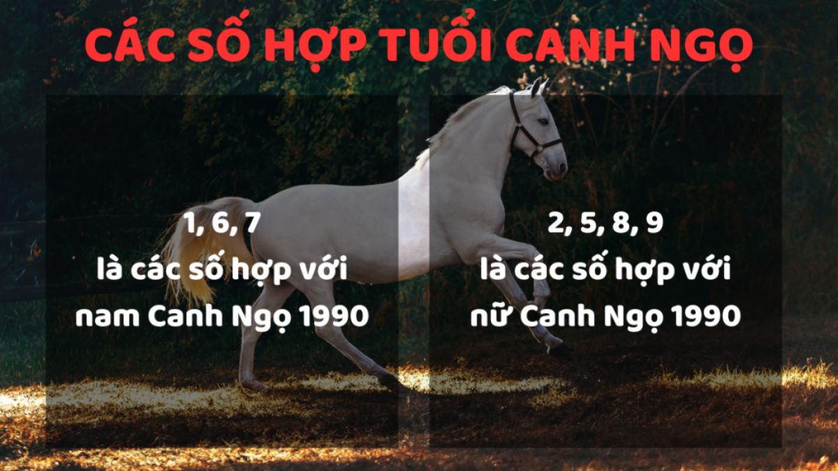 Năm sinh 1990 mệnh gì và hợp số mấy