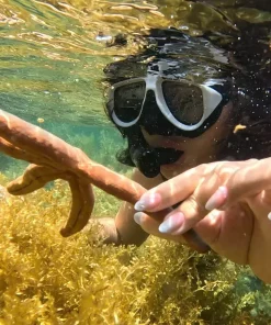 Tour nửa ngày Nha Trang: Lặn ống thở và tiệc BBQ trên tàu