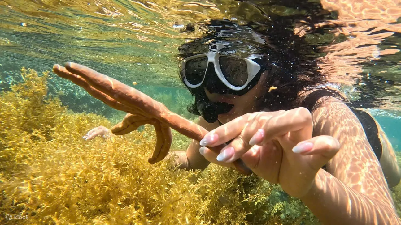 Tour nửa ngày Nha Trang: Lặn ống thở và tiệc BBQ trên tàu